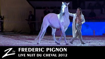 Nuit du cheval 2012